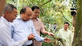Thủ tướng Nguyễn Xuân Phúc khảo sát thực tế tại vườn sầu riêng của ông Võ Văn Phúc ở xã Hiệp Đức, huyện Cai Lậy, tỉnh Tiền Giang. Ảnh: NGUYỄN HỮU