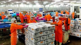 An Giang xuất khẩu lô cá tra công nghệ cao vào thị trường khó tính