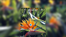 Google Ống Kính: Phương thức tìm thông tin, và học thông minh hơn