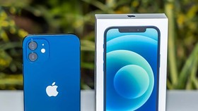 iPhone 12 với màu xanh mới