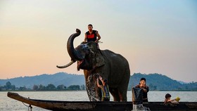 Tập trung vào chất lượng dịch vụ du lịch sau cú "đánh bồi" thứ hai của dịch