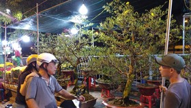 Gần 600 nhà vườn, nghệ nhân tham gia Hội hoa xuân “Trên bến dưới thuyền”