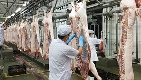 HCMC to build pork trading floor for exporting
