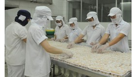 Food processing enterprises increase production capacity to meet the increasing demand. (Photo: SGGP)