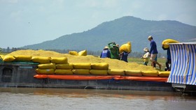 An Giang Province asks for permission to export rice