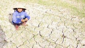 Central provinces suffer huge losses due to hot weather