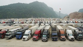 21 Vietnamese enterprises seek opportunities to export farm produce to China