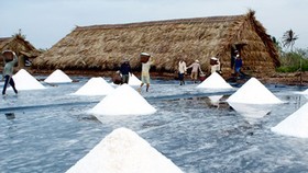Salt farmers in need of financial support