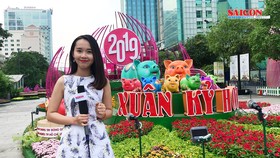 Đường hoa tết Kỷ Hợi 2019: Ngày xuân khoe sắc…