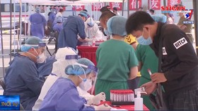 Điểm tin SGGP Online ngày 29-6-2020