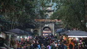 Lunar New Year events nationwide must be canceled over fear of coronavirus