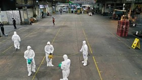 Spraying disinfectants at a vegetable market in Daegu, the Republic of Korea, to prevent the spread of the novel coronavirus disease (COVID-19) on February 20 (Photo: AFP/VNA)