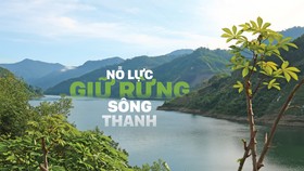 Quang Nam Province plans to turn Song Thanh Nature Reserve into national park
