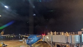 Vietnam requires negative COVID-19 tests for flight arrivals