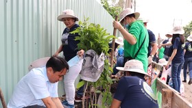 Nhân viên CEP cùng người dân trồng cây xanh trên tuyến đường Bình Long