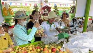 Exciting fruit festivals take place throughout summer in HCMC