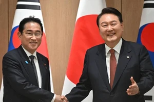 Nhật Bản, Hàn Quốc nối lại đối thoại kinh tế cấp cao 