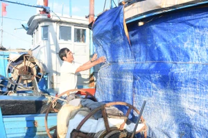 Bộ NN-PTNT yêu cầu Quảng Ngãi rà soát, thống kê tàu cá “3 không” và đề xuất giải pháp