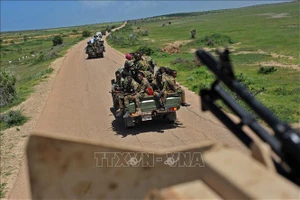 Binh sĩ Somalia tuần tra tại khu vực Sanguuni, cách thủ đô Mogadishu 450km về phía Nam. Ảnh: AFP/TTXVN