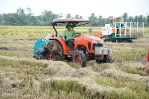 Hướng tới sản xuất lúa chất lượng, giảm phát thải, phát triển theo hướng xanh và bền vững 