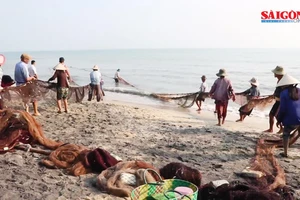 Kéo “lưới rồng” bắt 2 tấn cá ở Huế