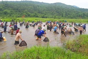 Độc đáo Lễ hội đánh cá Đồng Hoa