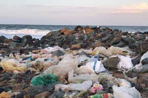 100% các khu du lịch biển không sử dụng nhựa 1 lần