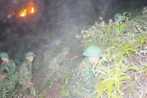 Cơ bản khống chế được đám cháy rừng ở Hà Tĩnh