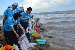 Phó Chủ tịch nước Đặng Thị Ngọc Thịnh cùng các đại biểu thả giống nhằm tái tạo nguồn lợi thủy sản