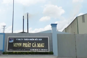 Một nhà máy tại thị trấn Sông Đốc bị phạt vì vi phạm môi trường