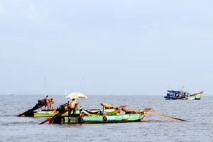 Khai thác thủy sản trên vùng biển Cà Mau, khu vực xã Khánh Hội đến thị trấn Sông Đốc