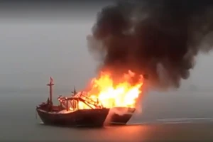 Cháy tàu cá trên biển, thiệt hại hơn 2 tỷ đồng