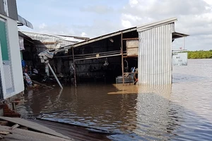  Cà Mau: Sạt lở đất thiệt hại ba nhà dân