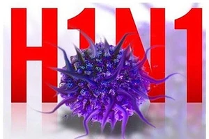 Cà Mau: Một bệnh nhân tử vong do nhiễm cúm A/H1N1