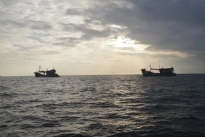 Một thuyền viên mất tích trên vùng biển Cà Mau