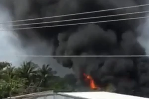 Cà Mau: Cháy lớn tại công ty thủy sản