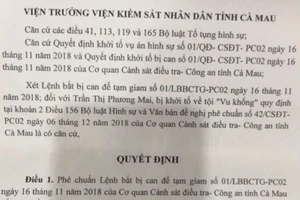 Quyết định phê chuẩn lệnh bắt bị can Trần Thị Phương Mai