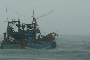 Sóng to gió lớn, cản trở cứu hộ tại Hòn Chuối, Cà Mau