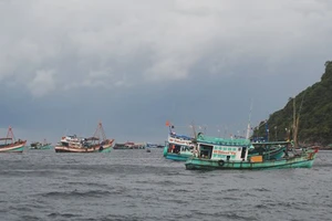 Tàu cá CM 92123 TS cùng 5 thuyền được lai dắt vào Hòn Chuối an toàn