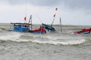 Cà Mau: Cứu kịp thời 4 ngư dân bị chìm tàu trên biển 