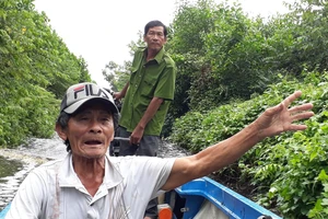 Cần sớm giải quyết dứt điểm “điểm nóng” đất rừng U Minh Hạ