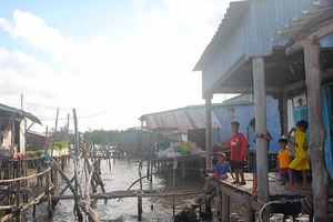 Cà Mau: Khẩn cấp xây dựng kè chống xói lở cửa biển Vàm Xoáy
