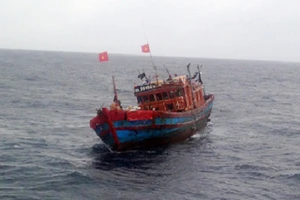 Phát hiện 3 thi thể trong khoang hầm tàu cá trôi dạt trên biển