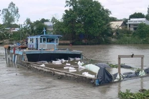 Cà Mau: Lật phà khi chở xe cuốc sang sông Gành Hào, một người tử vong