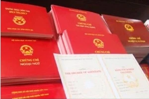 Chánh Thanh tra huyện Trần Văn Thời bị kỷ luật vì có bằng bổ túc THPT không hợp lệ