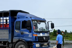 UBND tỉnh Cà Mau cho biết lái xe phải được kiểm tra y tế chặt chẽ trước khi vào tỉnh. ẢNH: N.T.