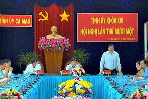 Cà Mau: Ông Nguyễn Tiến Hải làm Trưởng Ban chỉ đạo phòng, chống tham nhũng