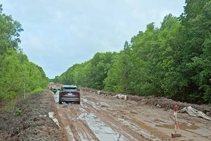 Xử phạt nhà thầu thi công chống ngập đường về Mũi Cà Mau 12 triệu đồng