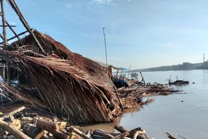 Cà Mau: Sạt lở khiến nhiều tài sản trôi sông