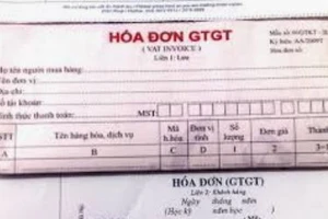 Cà Mau: Khởi tố Giám đốc Công ty Việt Phát để điều tra hành vi trốn thuế